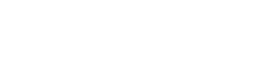 EU Flag